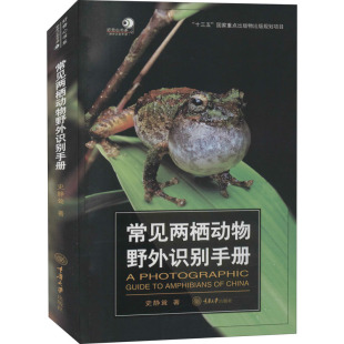 包邮 重庆大学出版 常见两栖动物野外识别手册 9787568924252 社 史静耸 正版