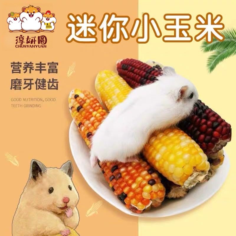 仓鼠零食磨牙棒营养粮小玉米棒兔子金丝熊荷兰猪造景生活用品大全,宠物/宠物食品及用品,鼠粮,淘宝优惠券,粉丝福利购,淘宝优惠卷