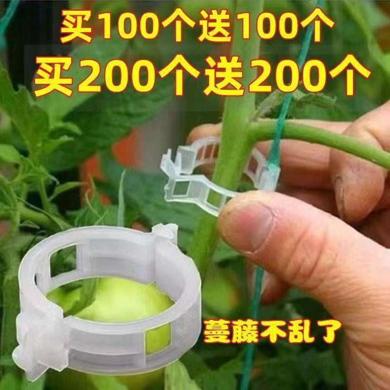 【下单立减50】蔓藤固定器植物果蔬绑蔓神器秧苗定型扣番茄神器