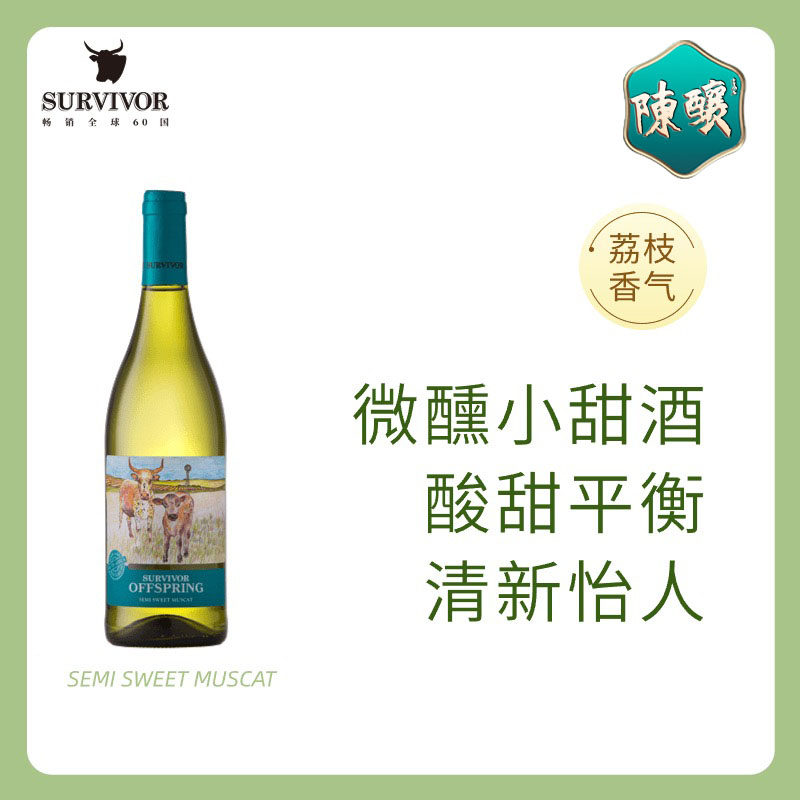 Survivor幸存者麝香半甜白葡萄酒清爽果酒聚会礼品