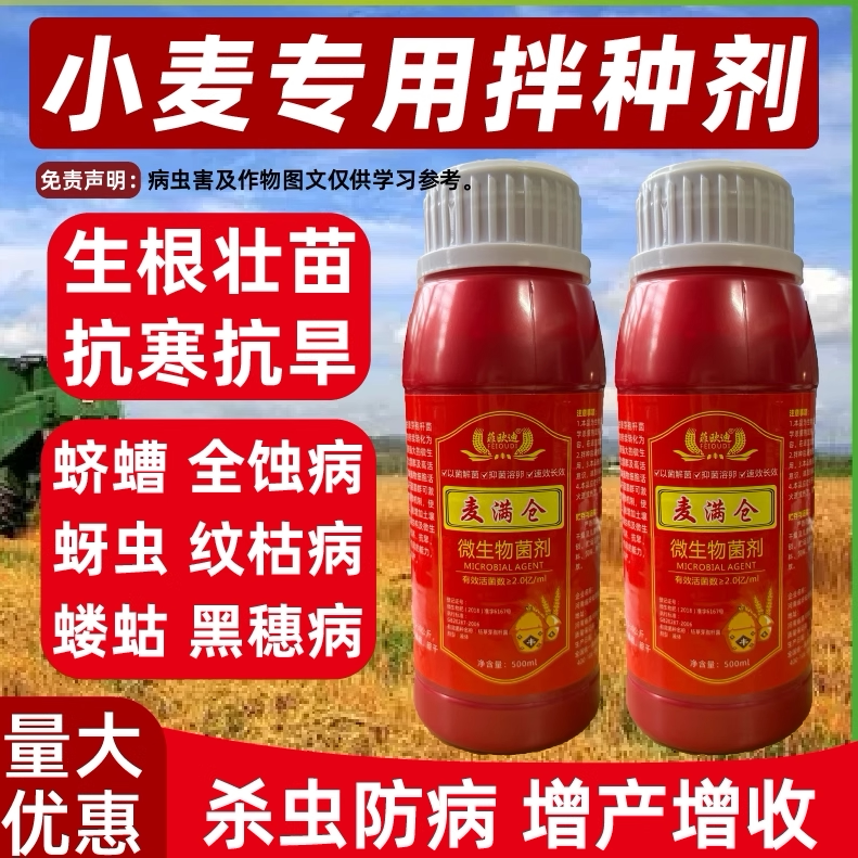 增产抗病提高出芽小麦种衣剂