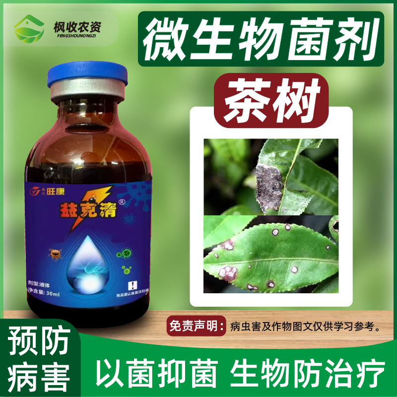 茶树茶园炭疽轮斑病叶斑病茶饼病茶树杀菌催芽叶子枯黄调节防病害