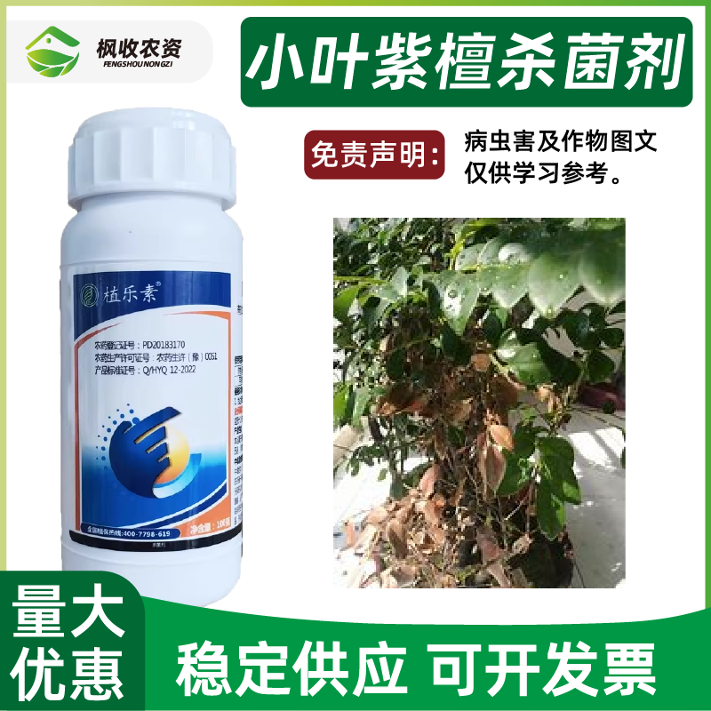小叶紫檀白粉病叶斑病炭疽病黑斑病专用药黄叶枯叶枝枯病干枯掉叶
