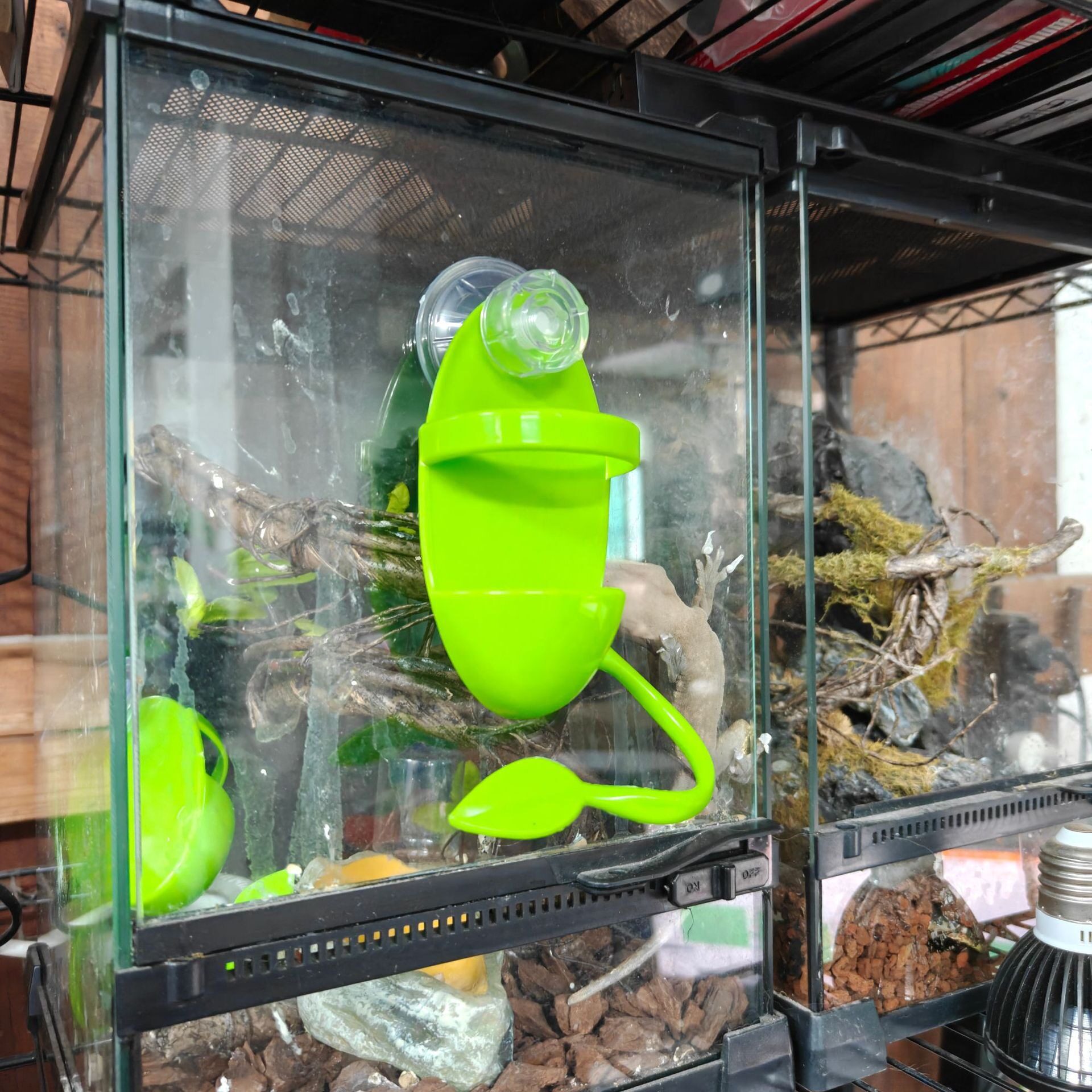 树栖爬宠攀爬架泡澡水盆吸附式爬虫树蛙睫角守宫饲养箱吸盘造景架