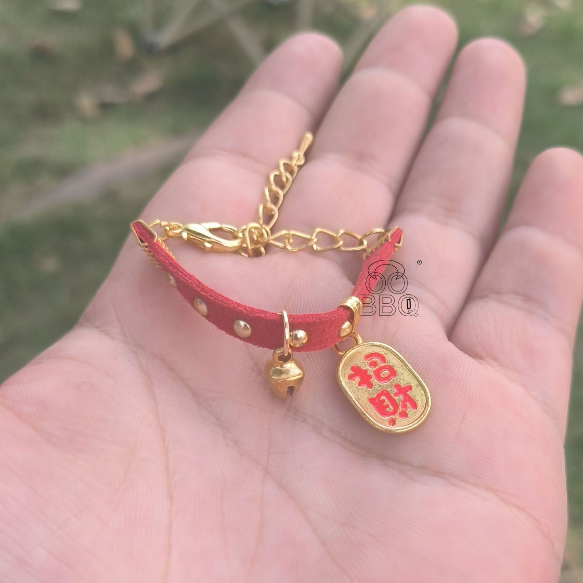 蜥蜴小鳄鱼项圈可调节小宠项圈招财纳福炫酷可爱颈环可爱爬宠外出