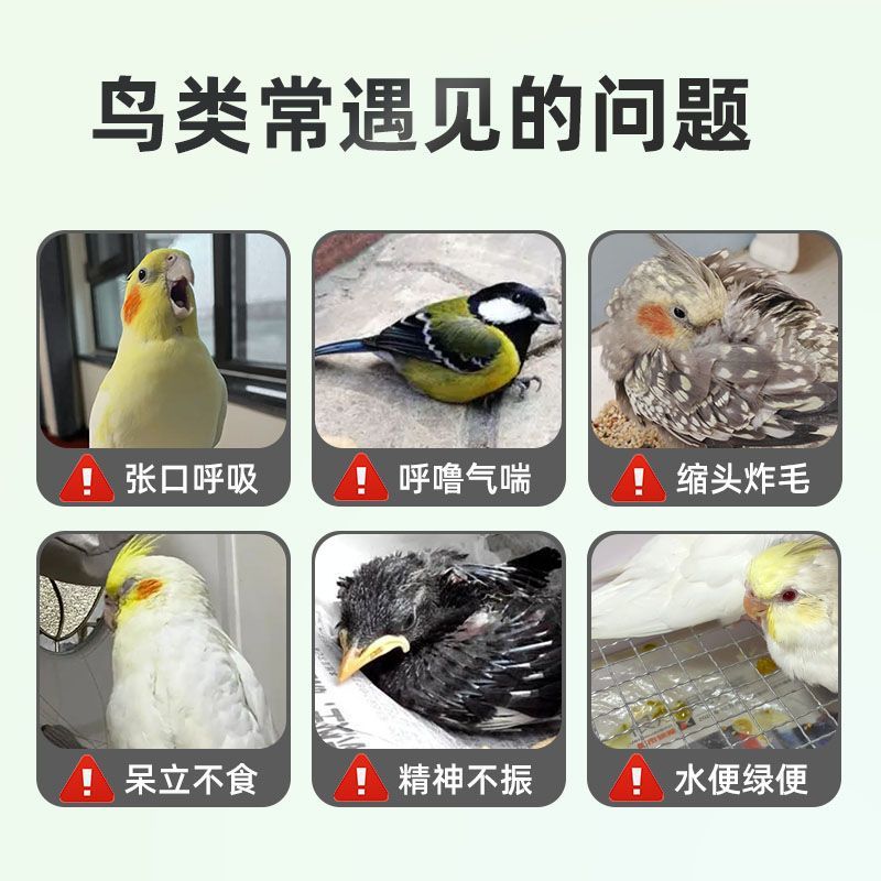 鸟感立康鹦鹉鸟拉稀腹泻呆立不食气喘精神萎靡