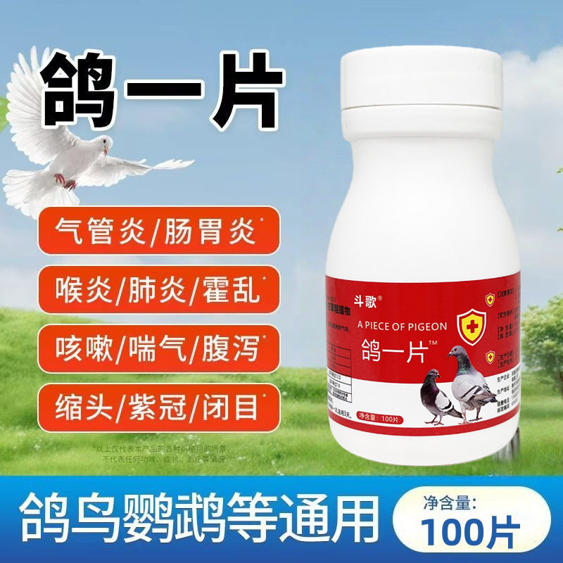 鸽一片鸽药全套强效鸽病鸽子甩拉吐水绿便沙门氏菌感冒内服片剂