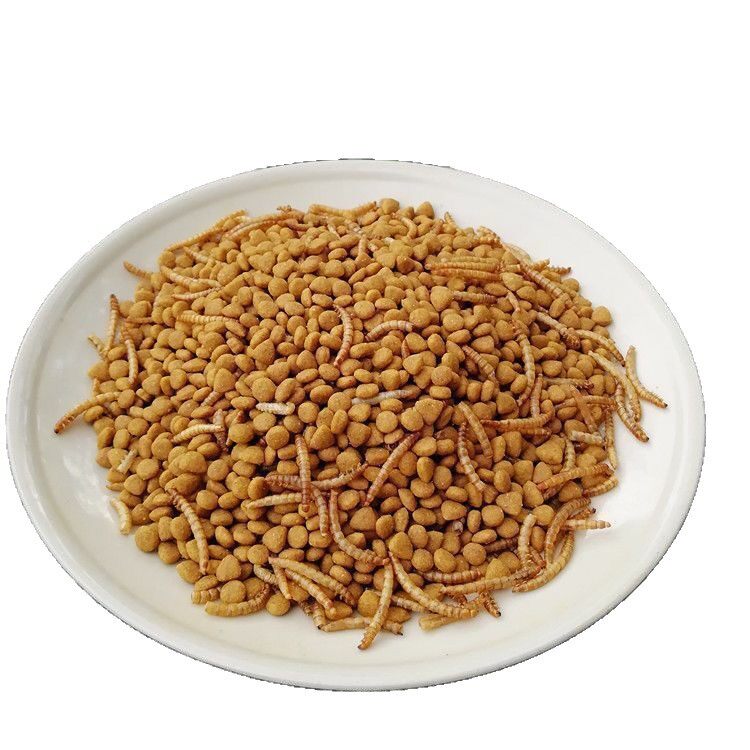刺猬粮食主粮小刺猬营养饲料高蛋白水果蔬菜面包虫干饲料食物