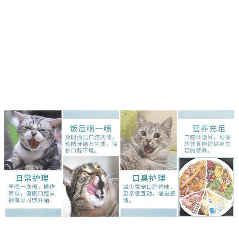 当天能进食】猫咪口炎猫口炎流口水喷雾