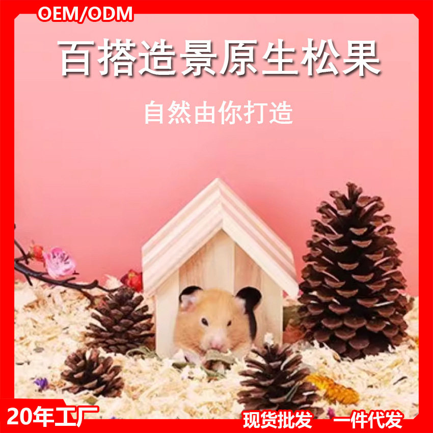 仓鼠磨牙零食天然松子松花松塔松果松鼠小宠物金丝熊笼子造景谷穗