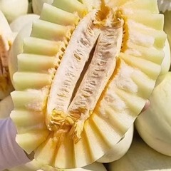 甘肃兰州白兰瓜台农一号软糯香甜蜜瓜新鲜头茬瓜 当季1个4斤包邮