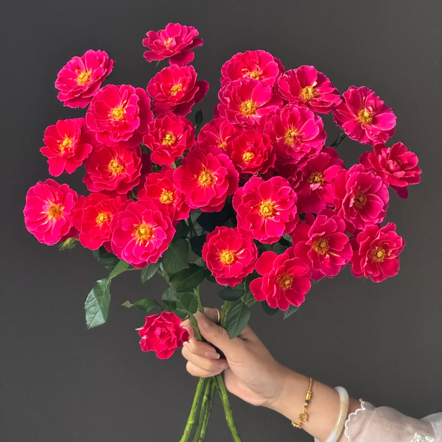 玫瑰之家基地直发室内水养鲜切花