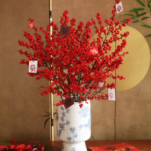 北美冬青鲜切枝带果年宵花水培