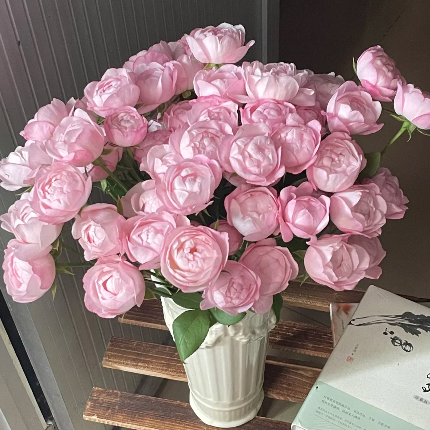 草莓杏仁饼多头玫瑰花完美甜蜜云南直发室内水养新鲜插花节日礼物