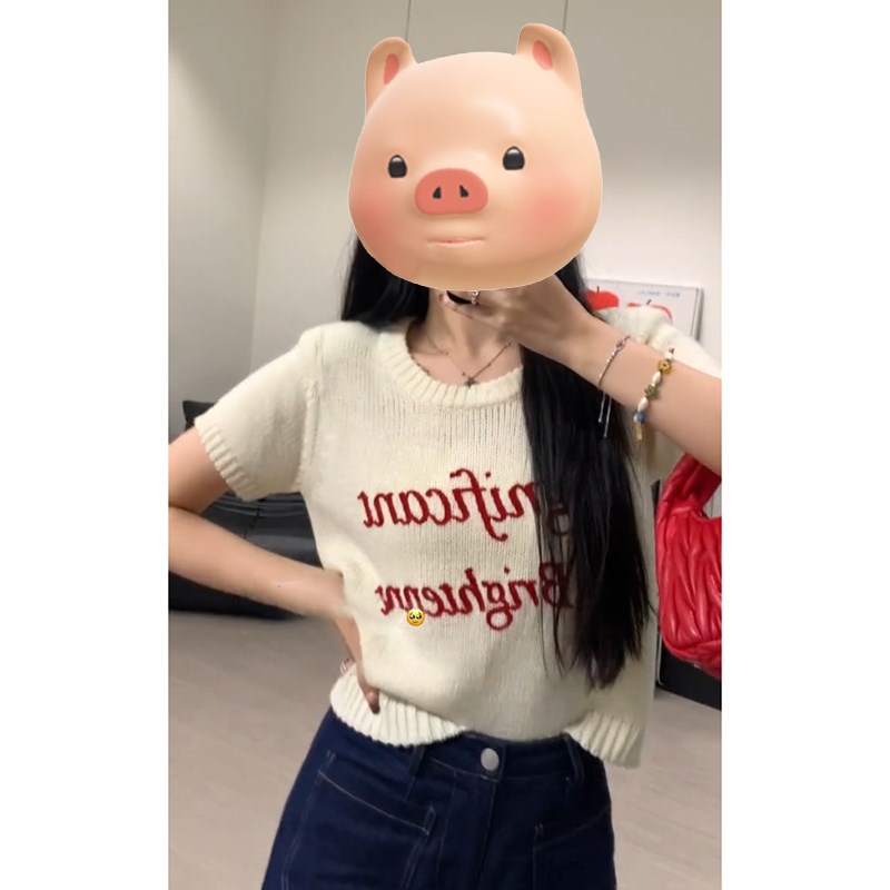 小个子圆领套头字母刺绣冰丝针织衫女夏季独特超好看短袖T恤上衣