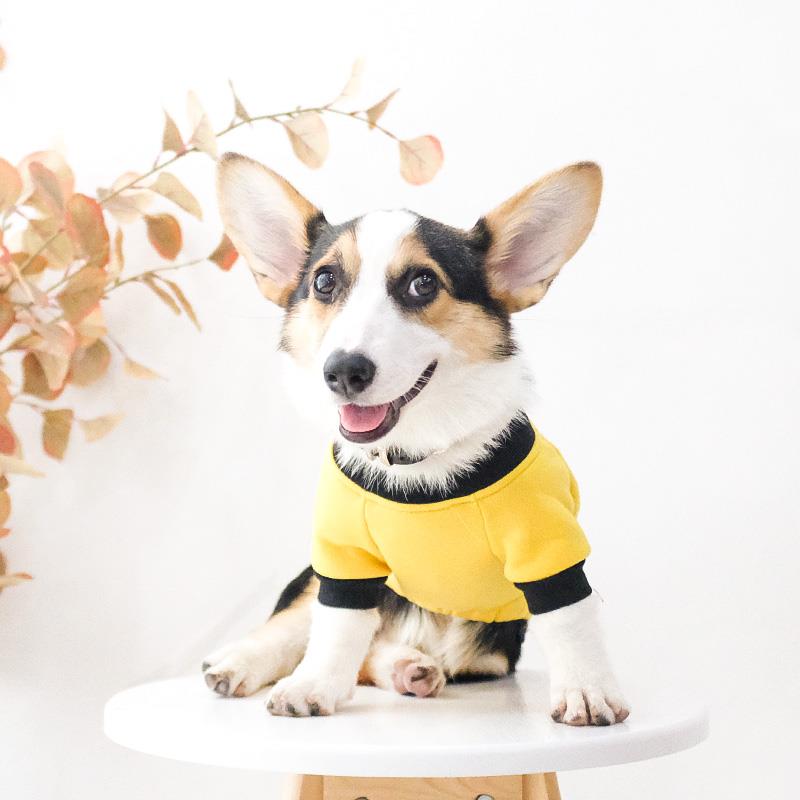 柯基衣服春秋薄款狗狗秋冬装小型犬中型犬幼犬防掉毛宠物黄色卫衣图片