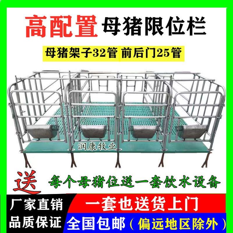 定位栏  限位栏  10个母猪位带10个母猪食槽(母猪产床  保育床)