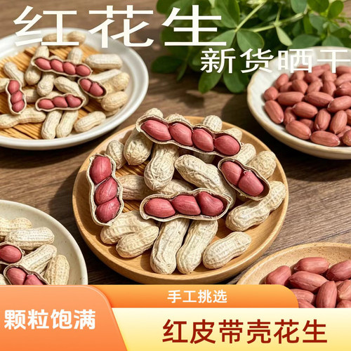 广东红花生农家新货带壳红皮花生