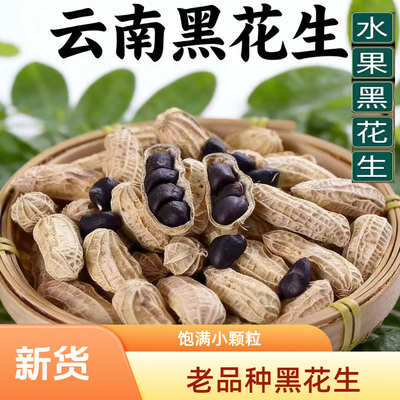 云南特产生花生老品种带壳黑花生