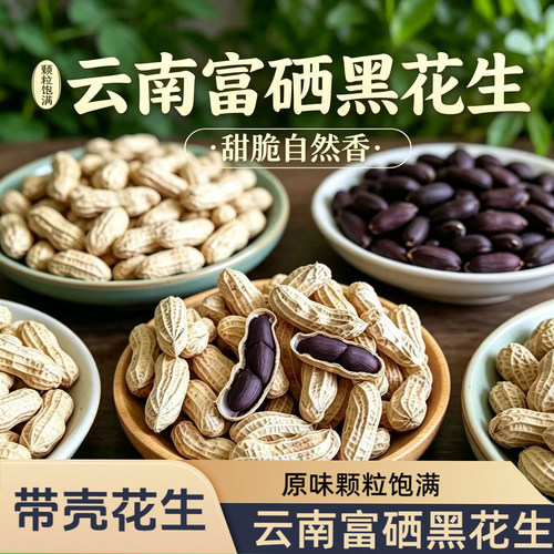 云南富硒黑花生带壳晒干新货黑花生大颗粒花生1斤装生花生直发