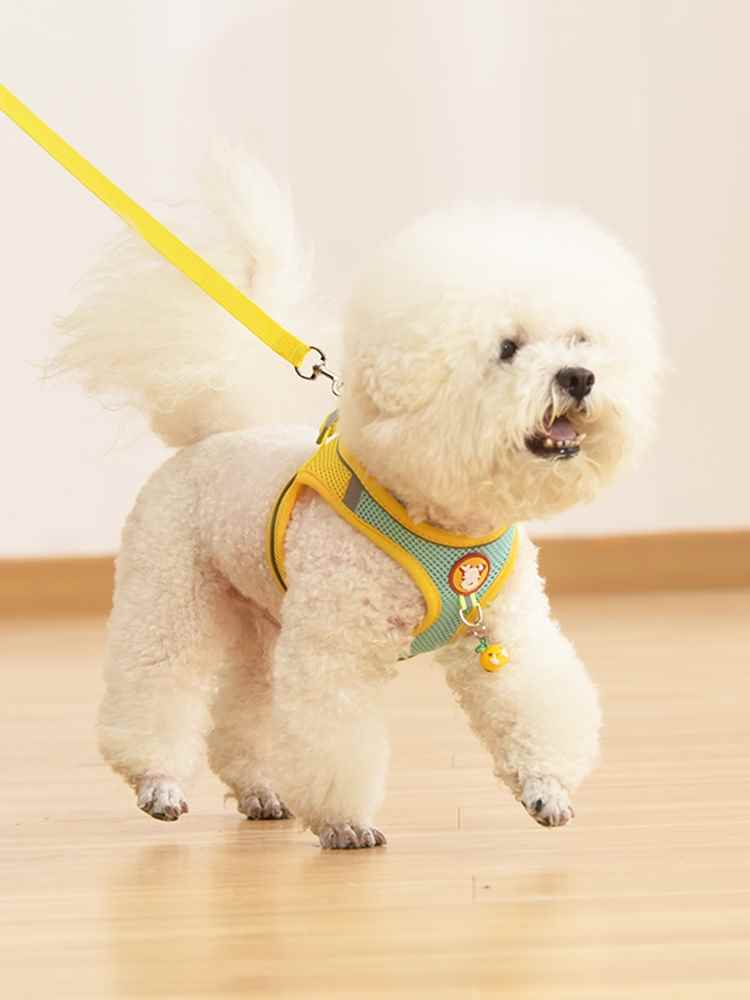 夏天狗狗牵引绳背心式小型犬泰迪比熊博美网红胸背带狗链子遛狗绳