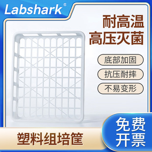 Labshark塑料组培筐聚丙烯pp材质塑料组培托盘耐高温实验室组培周转筐小号加厚大号抗压耐摔通水性佳组培框