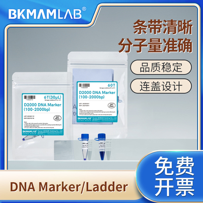 比克曼生物DNAMarker/Ladder