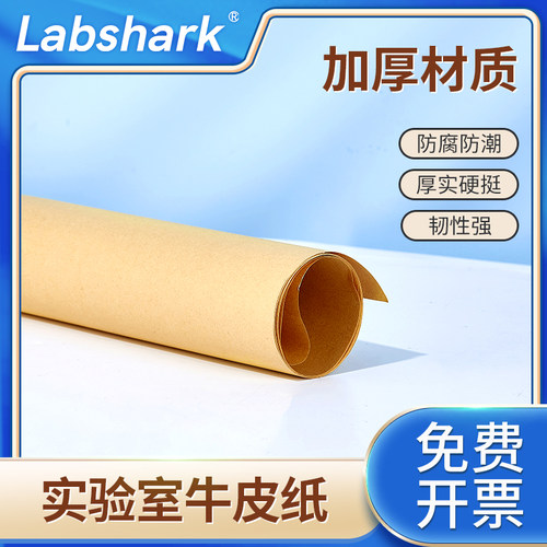 湘玻实验室加厚全开牛皮纸