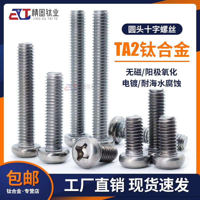 广东深圳纯钛合金GB818十字螺丝