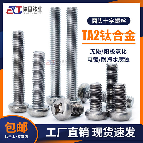 广东深圳纯钛合金GB818十字螺丝