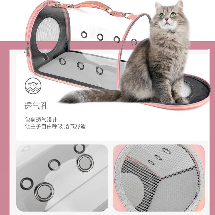 猫包时尚简约手提式全景
