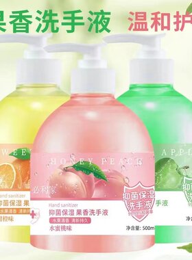 家用抑菌按压瓶杀菌消毒洗手液