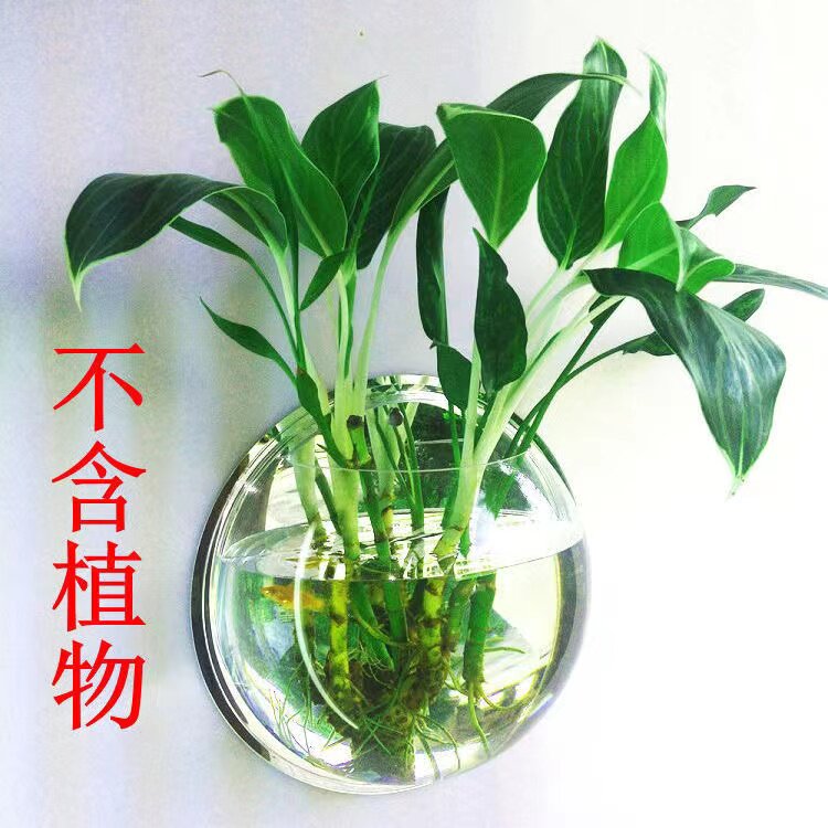 挂壁花盆家居墙上水培花瓶