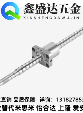 BSWE0802/1002 BTWE1204 1510 1516 1520 1605 1610 滚珠丝杆