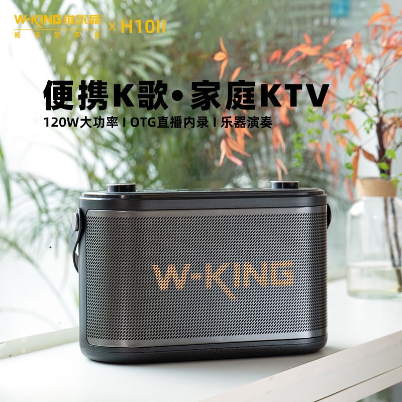 维尔晶H10II便携hifi级K歌乐器直重低音炮播蓝牙音响消原音三分频