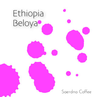 圣德纳咖啡 埃塞俄比亚 碧萝雅 120/227g 包装