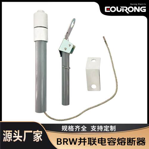 BRWBRN系列双管12kV10高压并联