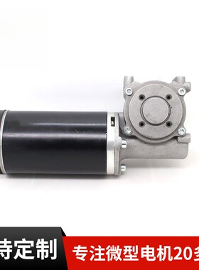 代替Dunkermotor  德恩科 GR 63SX55 自动门电机SG80 涡轮蜗杆