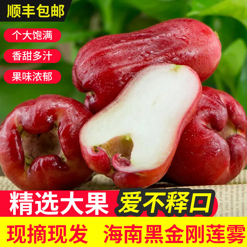 正宗海南黑金刚莲雾树上熟大果（4-5个一斤）现摘现发顺丰包邮