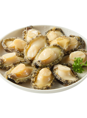 速冻鲍鱼肉 310g (13-15粒)