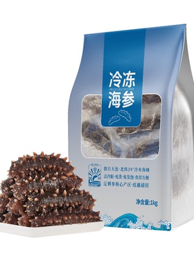 冷冻海参大连辽刺参 1kg 30-40只