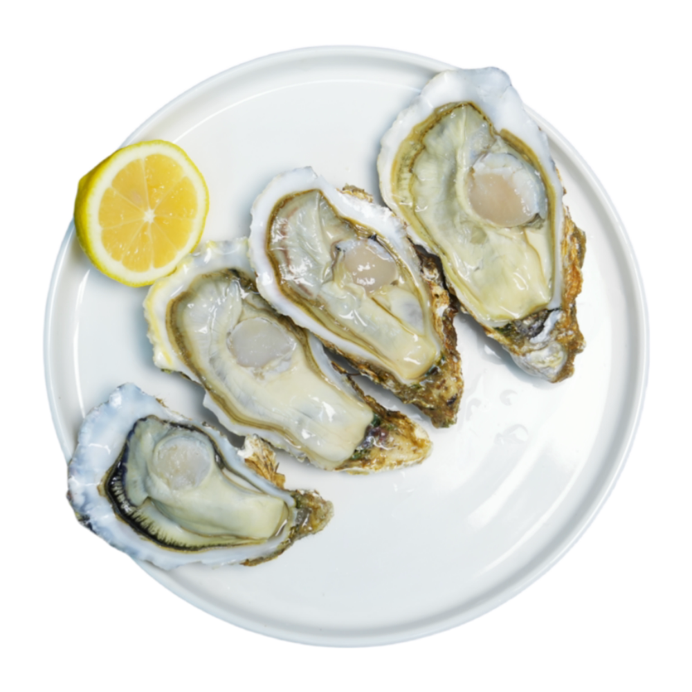 原浆冷水半壳大生蚝 1.8kg (18-20只)生鲜海鲜烧烤食材图片