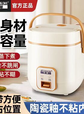 代发电饭煲1-2人迷你家用