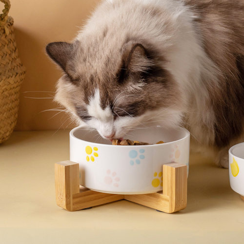 猫碗陶瓷猫咪水碗粮碗保
