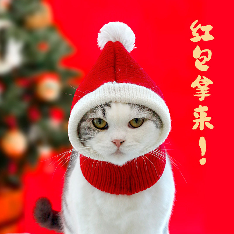 可爱粗毛线过年猫咪帽子