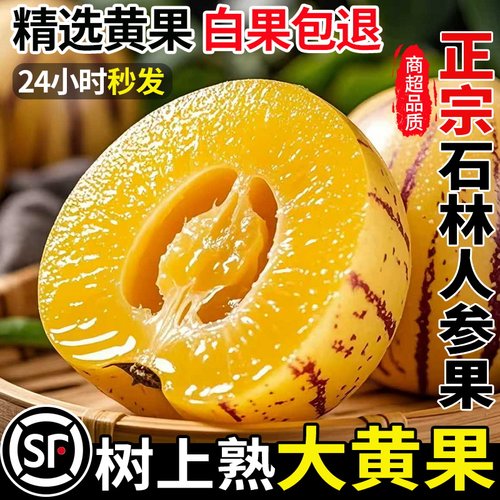 【5A品质】正宗石林人参果熟黄肉