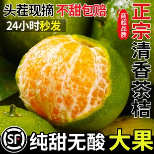 广西清香蜜桔纯甜清香茶橘柑新鲜水果青皮橘青香青龙桔10斤包邮
