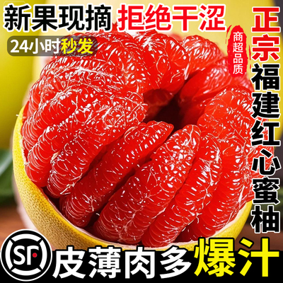 【5A品质】正宗福建红心蜜柚！
