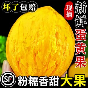 新鲜蛋黄果新鲜5斤海南热带水果鸡蛋果云南特产应季当季整箱批发