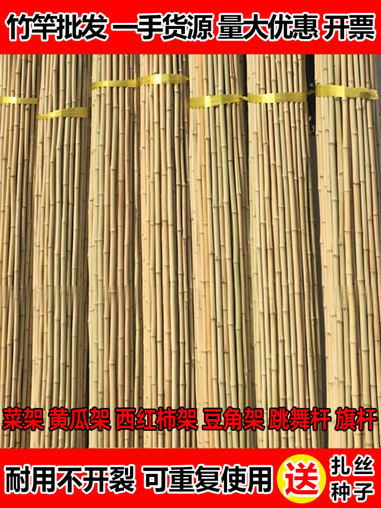 竹竿菜园搭架竹篱笆栅栏围栏竹子杆豆角黄瓜番茄小竹杆爬藤架